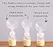 6-Count of Papablic Duckbill Valves for Spectra and Medela, Replaceable Duckbill Valves for Spectra S1 Spectra S2 Valves and Medela Pump in Style Valves, BPA/DEHP Free