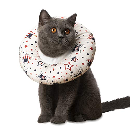 small cat cone collar