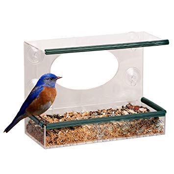 Garden Mile Unique Clear Hanging Perspex Squirrel Proof Window
