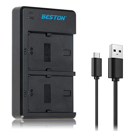 BESTON LP E6 LP-E6 Quick USB Dual Charger for Canon EOS 6D, 7D, 80D, 70D, 60D, 60Da, 5D Mark IV, 5D Mark III, 5D Mark II, 5DS, 5DS R, 6D Mark II, 7D Mark II Camera Battery