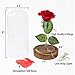 sexyrobot Beauty and the Beast Red Rose, Silk Flower with LED Light in a Glass Dome for Home Decor Holiday Party Wedding Anniversary Birthday Valentine's Day Gift