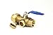 Tankless Water Heater Flush Kit 3/4