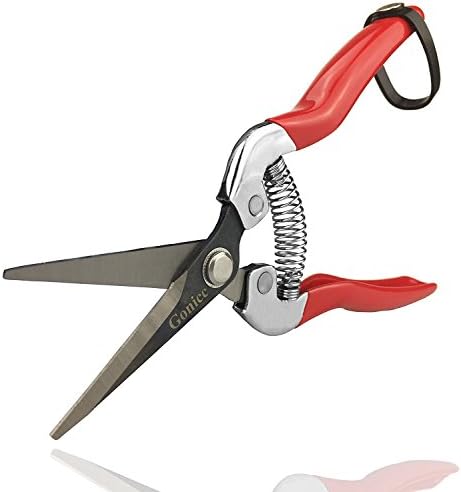 Lace Kenzola Professional Micro-Tip Pruning Snip (GPPS-1008), Small Garden Hand Pruner &amp; shears For Arranging Flowers, Trimming Plants &amp; Hydroponic Herbs, And Harvesting Fruits &amp; Vegetables.