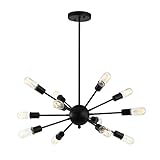 Light Society Meridia Sputnik 12-Light Chandelier Pendant, Matte Black, Mid Century Modern Industrial Starburst-Style Lighting Fixture (LS-C172-BLK)