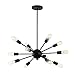 Light Society Meridia Sputnik 12-Light Chandelier Pendant, Matte Black, Mid Century Modern Industrial Starburst-Style Lighting Fixture (LS-C172-BLK)