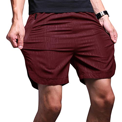 LTIFONE Mens Gym Quick Dry Shorts Workout Training Running Vertical Stripe Shorts with Zipper Pocket (Burgundy,XXL)