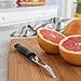 Better Houseware Grapefruit Knife curved serrated Stainless Steel Knife w/Nylon Handle, Serrated Edge grapefruit peeler knife, kiwi knife, lemon zester, Dishwasher Safe | Kitchen Utensils
