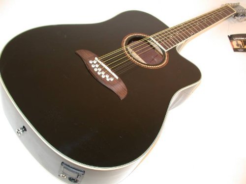 Oscar Schmidt 12 String Acoustic/Electric Guitar & Guitar 