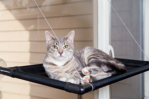 Window Cat Perch (Large) Floating Indoor Bed for Kittens and Adults | Square, Ventilated Cot | Easy to Mount, Holds 60 lbs. | Bedding for Sun Bathing, Bird Watching