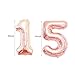 15th Birthday Decorations|15th Birthday Party Supplies Rose Gold-Confetti Latex Balloon,Tassel Garland,Tinsel Foil Fringe Curtains,Happy Birthday Banner as Gift, Favors,Photo Booth Props for Her Girl