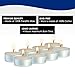 100 Tea Lights Set - Off White - Unscented Candles