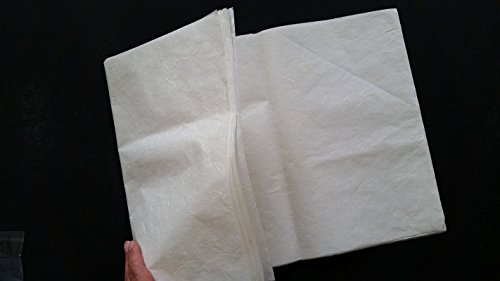 10 Sheets of Dragon Clouds Thin Mulberry Paper #2B 13.5"x26" 23gsm