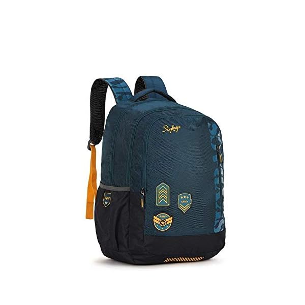 skybags stream backpack
