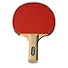 KEVENZ Ping Pong Paddle, Professional Table Tennis Racket, Patented Ping Pong Paddles with Long Handle, Family Ping Pong Racket Pack of 4