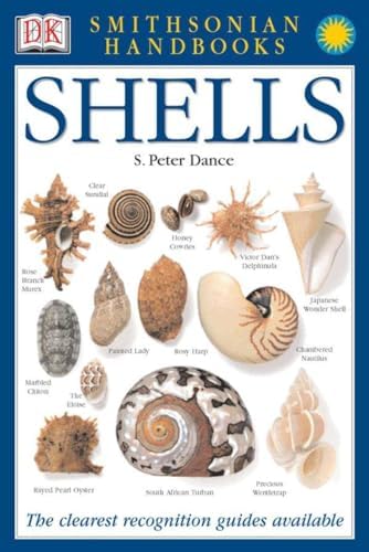 The Encyclopedia of Seashells: Gary Rosenberg: 9780880298230