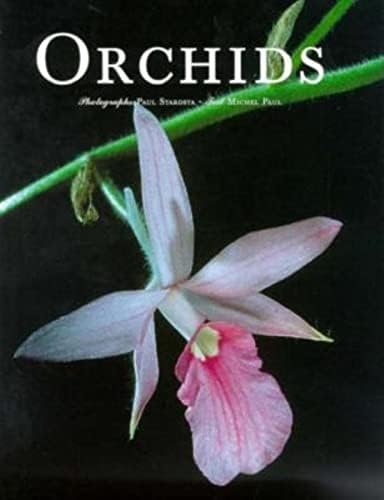 The Dendrobiums: Wood, Howard Page, M.D., Schettler, Roland