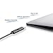 USB C Adapter, (2-PacK) PaGig USB Type C Male to Micro USB Female Connector for Fast Charging/OTG, Works with Samsung Galaxy S8, S8 Plus, New Macbook 12