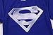 Red Plume Men's Compression Sports Shirt,Leisure Movie Hero Fitness T-Shirt (M, Silver Logo)