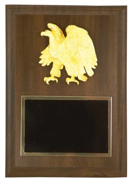 Amazoncom Golden Eagle Award Plaque Pack Of 1 Office