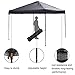 Abba Patio Ft Outdoor Pop up Portable Folding Canopy Instant Shelter with Roller Bag, 10 x 10 Feet, Dark Grey
