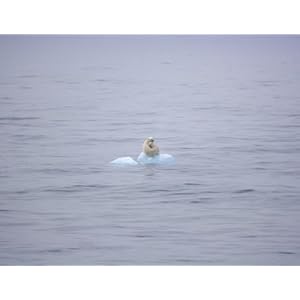 ICE At the Ends of the Earth