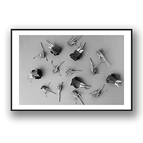 Framed for Living Room Bedroom Grey Rose Flowers for