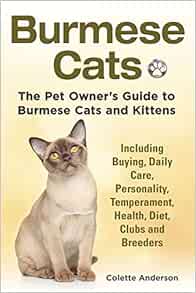 burmese cat club kitten list