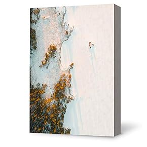 SIGNFORD Canvas Wall Art for Living Room,Bedroom Home...