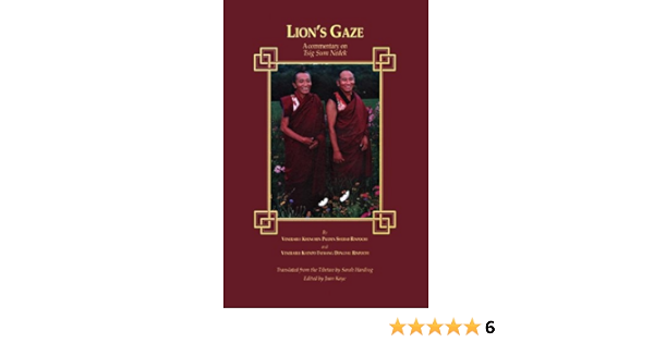 Lion S Gaze A Commentary On Tsig Sum Nedek Khenchen Palden Sherab Rinpoche Khenpo Tsewang Dongyal Rinpoche Joan Kaye Sarah Harding Khenchen Palden Sherab Rinpoche Khenpo Tsewang Dongyal Rinpoche 9781880975046 Amazon Com Books