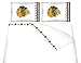 NHL Chicago Blackhawks 4pc Queen Bed Sheet Set
