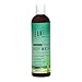 Seaweed Bath Co Eucalypus Peppermint Wildly Natural Organic Body Wash Shower Gel and Body Cream Lotion Bundle with Aloe Vera, Neem Oil, Kukui Oil, Shea Butter and Argan Oil, 12 Fl. Oz. And 6 Fl. Oz.