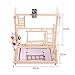 QBLEEV Bird Playground Perch, Parrot Training Stand,Play Gym Tabletop with Nest Stainless Steel Tray & Feeder Cups Dishes,Metal Food Skewer Ladder Swing Toy for Small Birds and Animals Budgies Parakeethumb 1