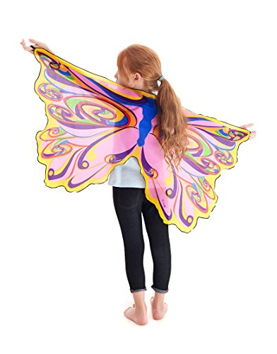 Rainbow Fairy Wings with Glitter