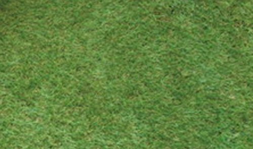 最新人気 人工芝 Fifa認定工場で生産 高品質 形状記憶 芝生 幅1ｍ 長さ10ｍ 弁天インテリア B073xdz9bz 幅1ｍ 長さ10ｍ 売れ筋 Celebration Fl Us