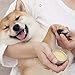 EXPAWLORER Dog Paw Balm - Pet Paw Wax Protection for Dogs and Cats, 100% Natural Organic Healing Paw Soother for Dogs Available as Dog Nose Balm, Dog Paw Butter Moisturizer Against Dry and Cracked