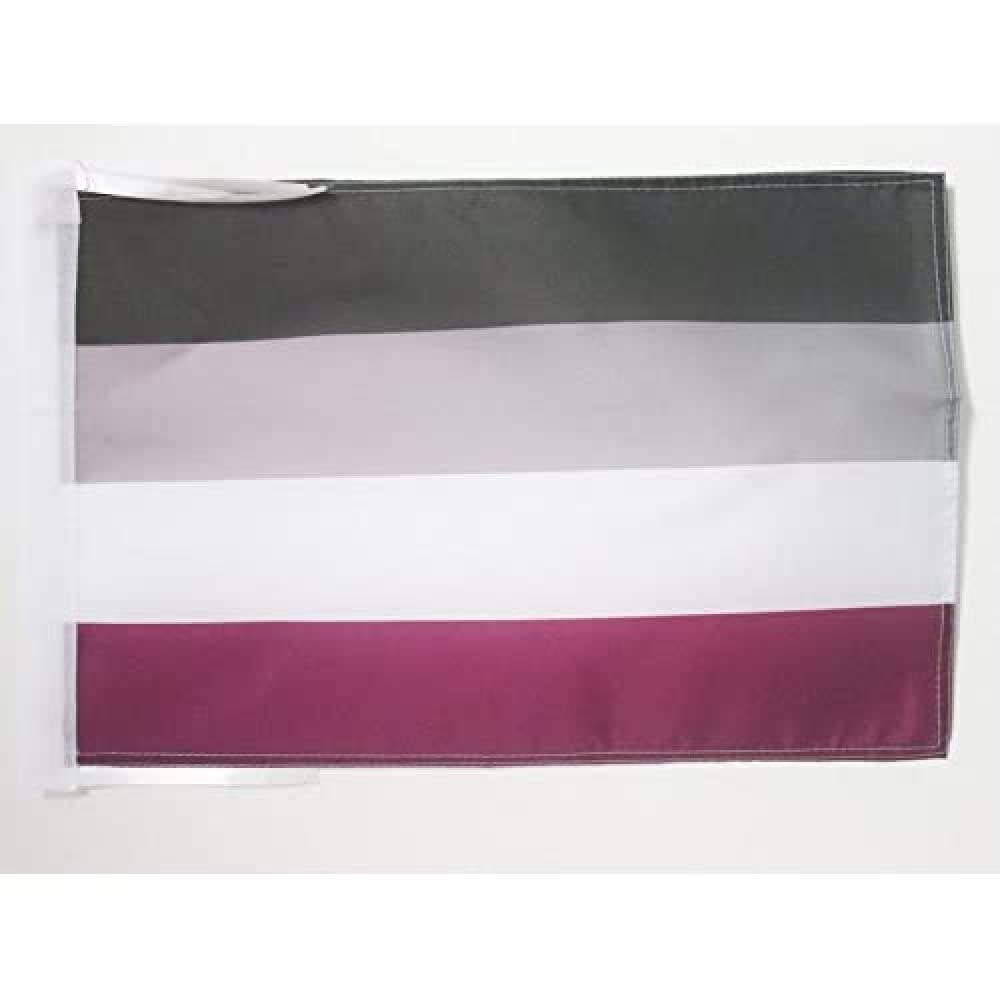 AZ FLAG - Asexual Rainbow Flag - 18'' x 12'' - 100% Polyester asexual movement Small Banner with Two Cords - Fade Resistant - Vivid Colors - 18x12 in - 45x30 Cm โ image 1