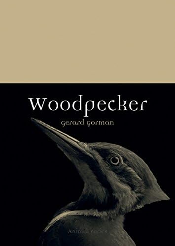 Woodpecker (Animal)
