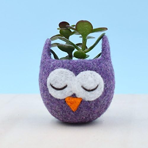 Owl lover, succulent planter, mini terrarium, birthday gift, cactus vase, plant pot, housewarming gift, cute cactus planter