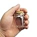 Shxstore Set of 8 Cute Small Glass Bottle with Cork 50ml Empty Clear Mini Cork Stopper Glass Bottle Jars for Arts and Crafts, Message Bottle, Party Favors, 47 X 50MM by