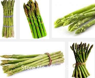 Amazon 赤 100メアリーワシントンアスパラガスの種 最も健康的な野菜の種 おいしい栄養価の高い多年生植物 花