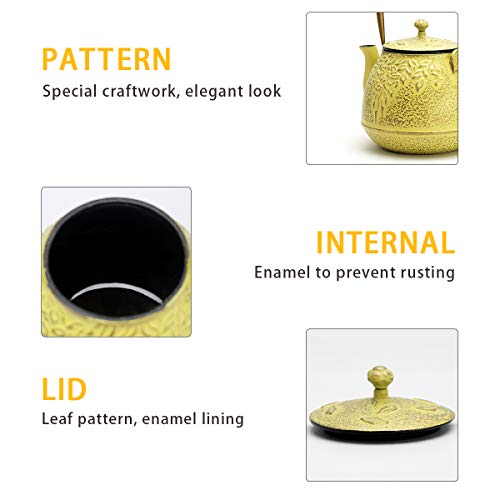 Tea Kettle, TOPTIER Japanese Cast Iron Teapot with Stainless Steel