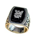 Vampire Diaries Alaric Jeremy's Matt's Ring (8)