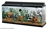 All Glass Aquarium AAG21248 Fluorescent Deluxe Hood, 48-Inch
