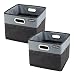 High Road CargoCube Trunk and Car Organizer Bins with Leakproof Lining - Set of 2 (Black) primary