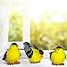 BANBERRY DESIGNS Goldfinch Bird Figurines Hand-Painted - Set of 3 – Includes 3 Poses - Decorative - Polystone - Garden & Home Accents - 3