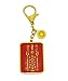 Feng Shui 2017 Tai Sui Amulet Talisman for Protection