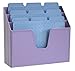 Acrimet Horizontal Triple File Folder Holder Organizer (Purple Color)