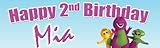Demea Printing Barney Birthday Banner 18 in. x 60 in. - Customize