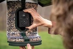 FeatherSnap Scout Wi-Fi Solar Powered Smart Bird