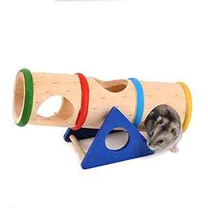 1PC Hamster Altalena Colorata di Legno Cilindro Hamster Tubi Altalena Giocattolo Piccoli Animali Parco Giochi Divertirsi… Marca: Asien 1PC Hamster Altalena Colorata di Legno Cilindro Hamster Tubi Altalena Giocattolo Piccoli Animali Parco Giochi Divertirsi…